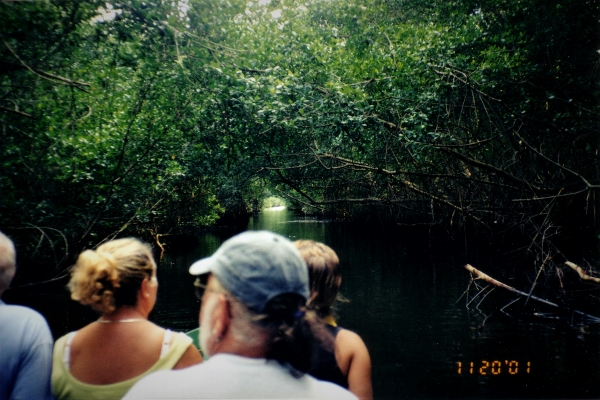 2001 We take a pirogue up the river to the Caroni Swamp