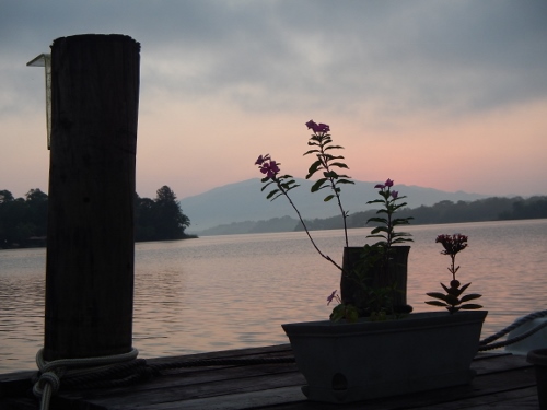 With the dock and
          our garden in in the forground the sun is rising behind Monkey
          Mountain