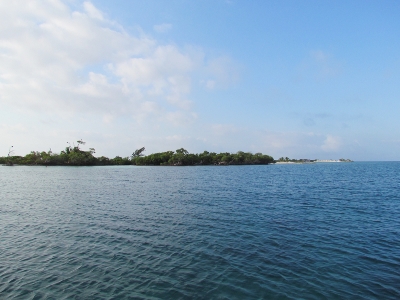 A View of the the south end of South Long Cocoa Cay
      Belize