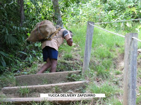 Farmer climbs hill
        to deliver his Yucca to Panama on the other side