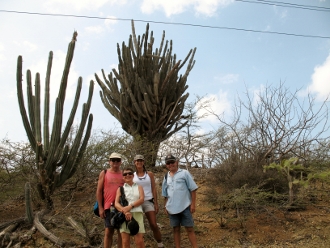 Large cacti grew
        around the Salt Pond on Curacao