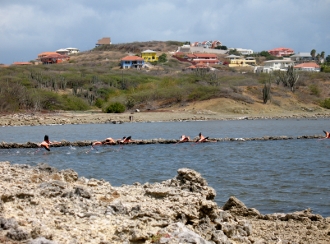 Flamingoes viewed around the Salt Pond on
        Curacao
