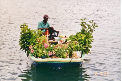 A St Lucia fruit and vegetable
          merchant approaches with his wares