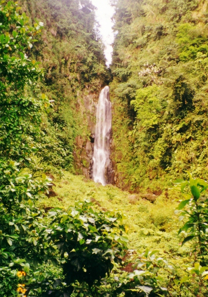 The tallest water falls on Dominica