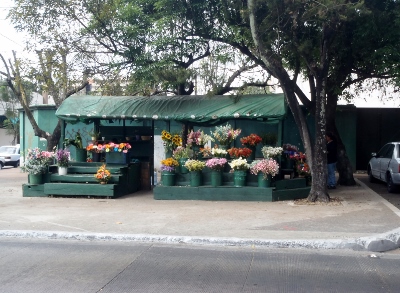 A pretty
            flower shop on La Forma a street in Zone 10