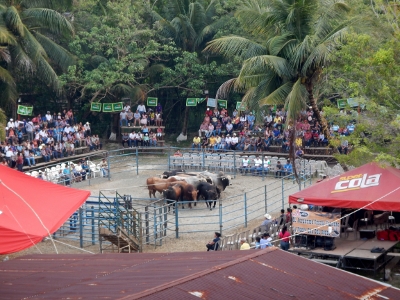 A Bull Fight was under way when
        we spent a night in Fronterra
