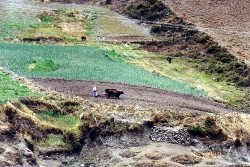 Typical farm in the
        Andes Venezuela
