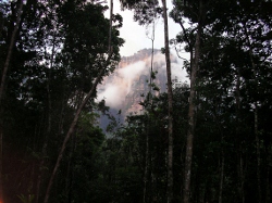 Ai vew
          of Angel Falls in the early morning from our overnite camp
          site where we slept in hammocks