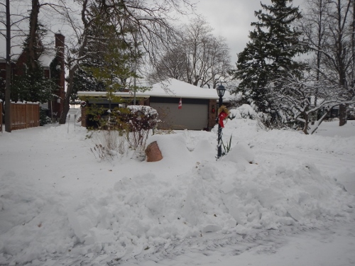 2016 Beacon Court Snowfall continued