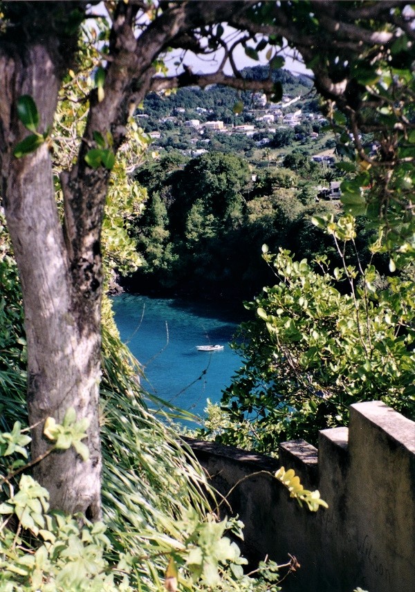 2002 St Vincent at Young Island Hike view from the top