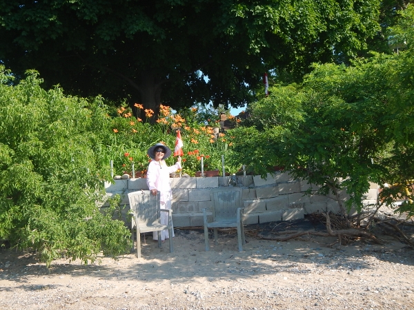 2018 Beacon Court Kathy shows off flowers on the seawall