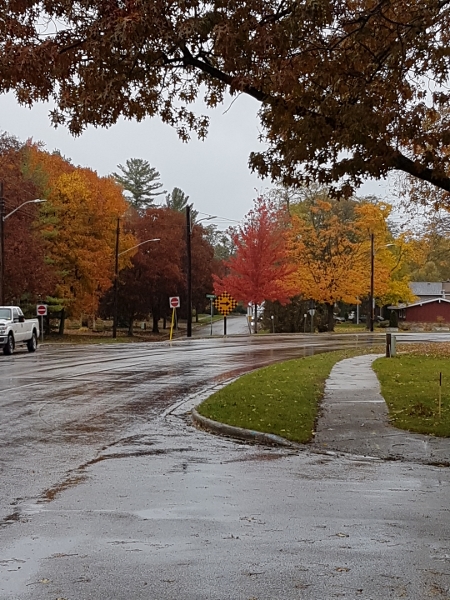 2018 Beacon Court Fall Colours on N Christina ST