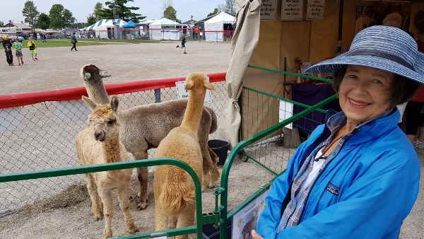 2018 Blyth Threshers Reunion with Kathy and Lamas