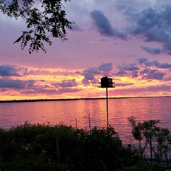 2020 June gave us some beautiful Beacon Court sunsets