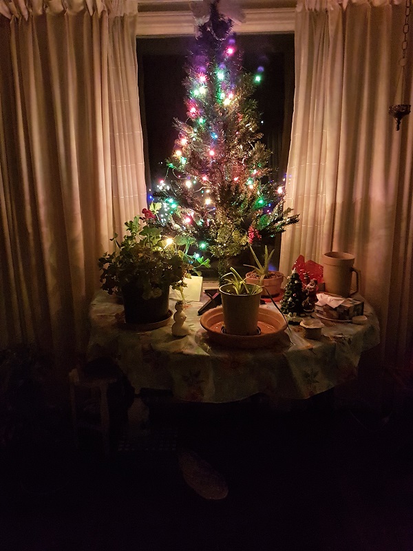 2020 BCt Our back door Xmas tree