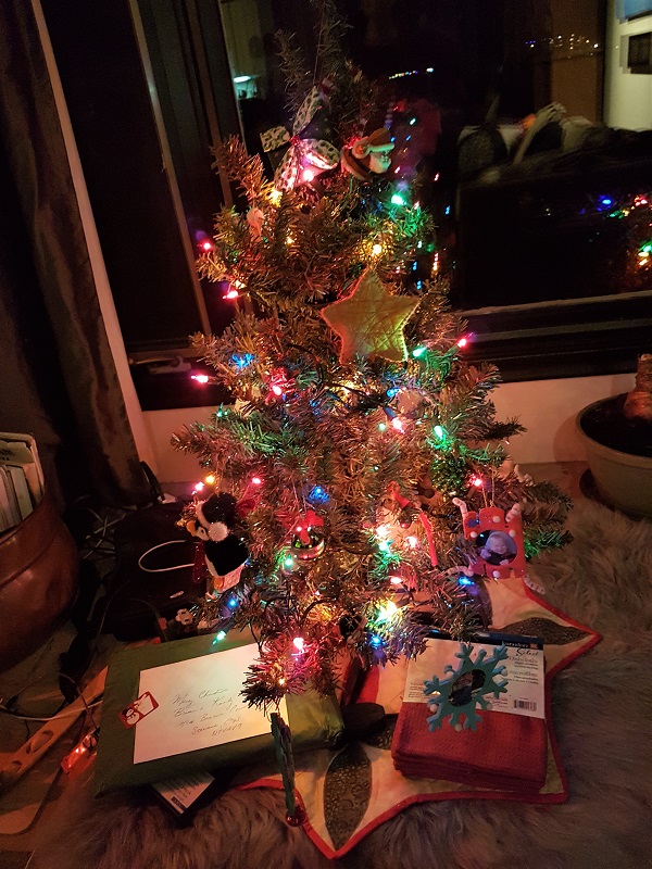 2020 BCt Our Front Window Xmas Tree
