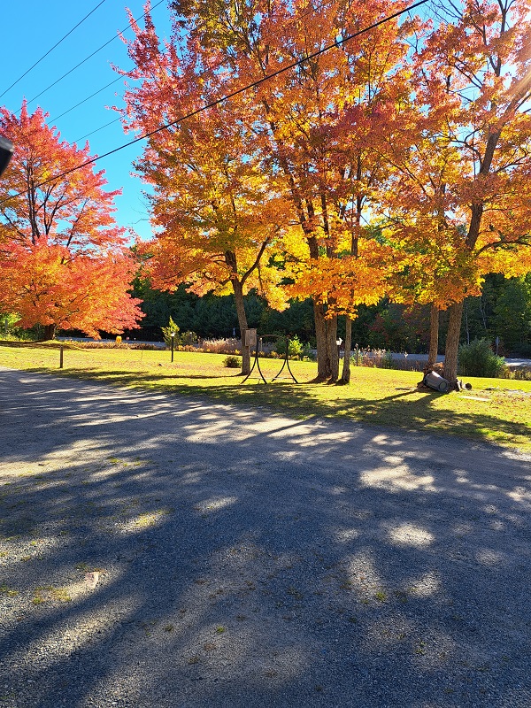 2022 Muskoka Lakes Colours