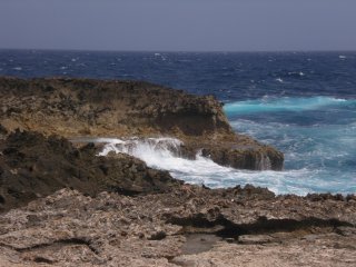 The rugged west
        shore of Bonnaire