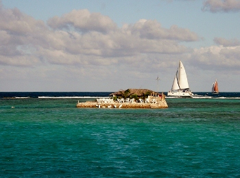 Joses self
          made island of conch shells including a cocktail bar from
          which to watch the green flash