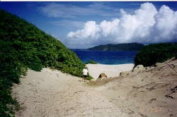 The cut
          through the Island to the beach on the norther side of Los
          Testigos Grande