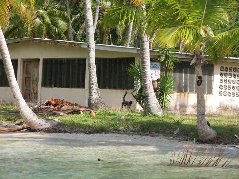 Howler Monkeys on Linton