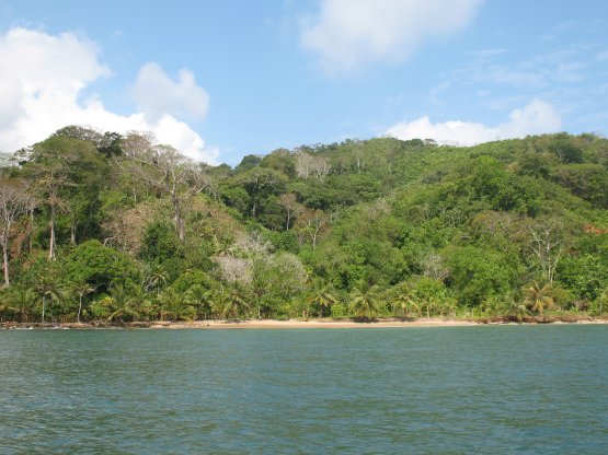 Beach off our bow
        at Carrete