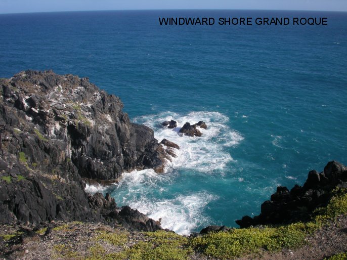 Looking seaward onto the rugged north shore of
        Gran Roque Venezuela