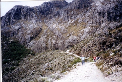 Hike begins to Los
        Nevados from the third stop down from the top of the Teleferico