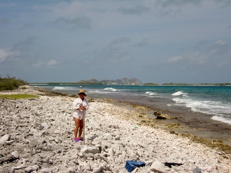 On a rocky beach
        with Gran Roque visible in the background